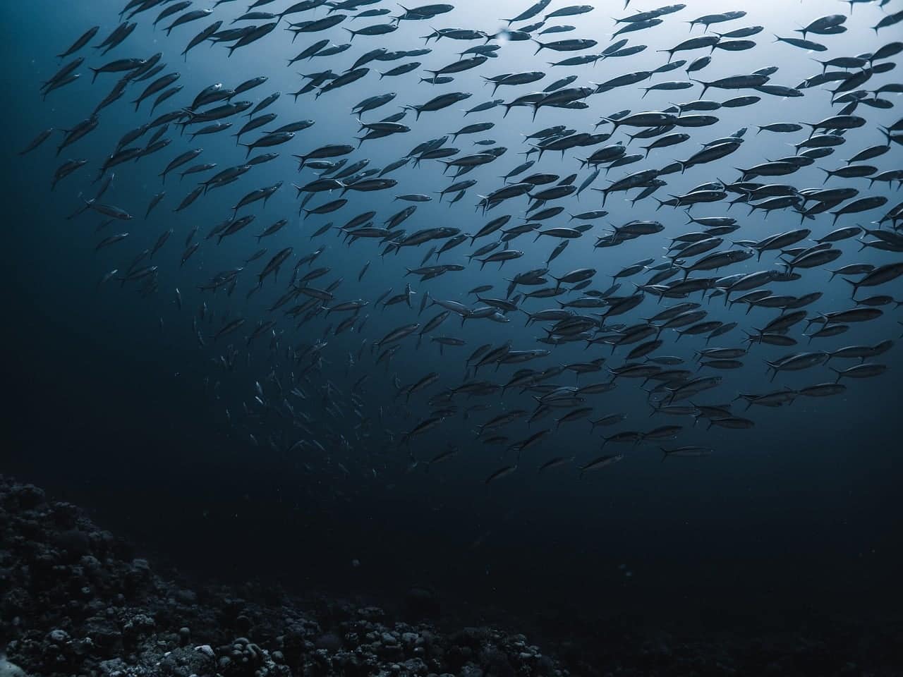 The sea, with shafts of light falling through open water